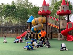 -北京梧桐树双语幼儿园