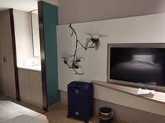 -白玉兰酒店(上海田子坊马当路地铁站店)