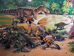 -安徽省地质博物馆