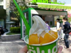 -Salud撒露欧洲冻酸奶(蓝色港湾店)