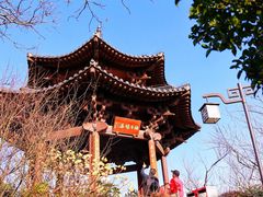 -杭州半山国家森林公园