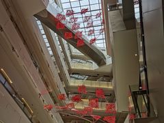 -岭南站NOVA