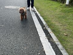 -凤岗南门山森林公园