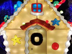 -武汉园博园(武汉自然博物馆)