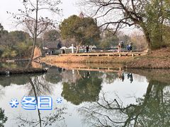 -西溪国家湿地公园