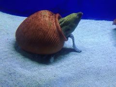 -江和美海洋公园