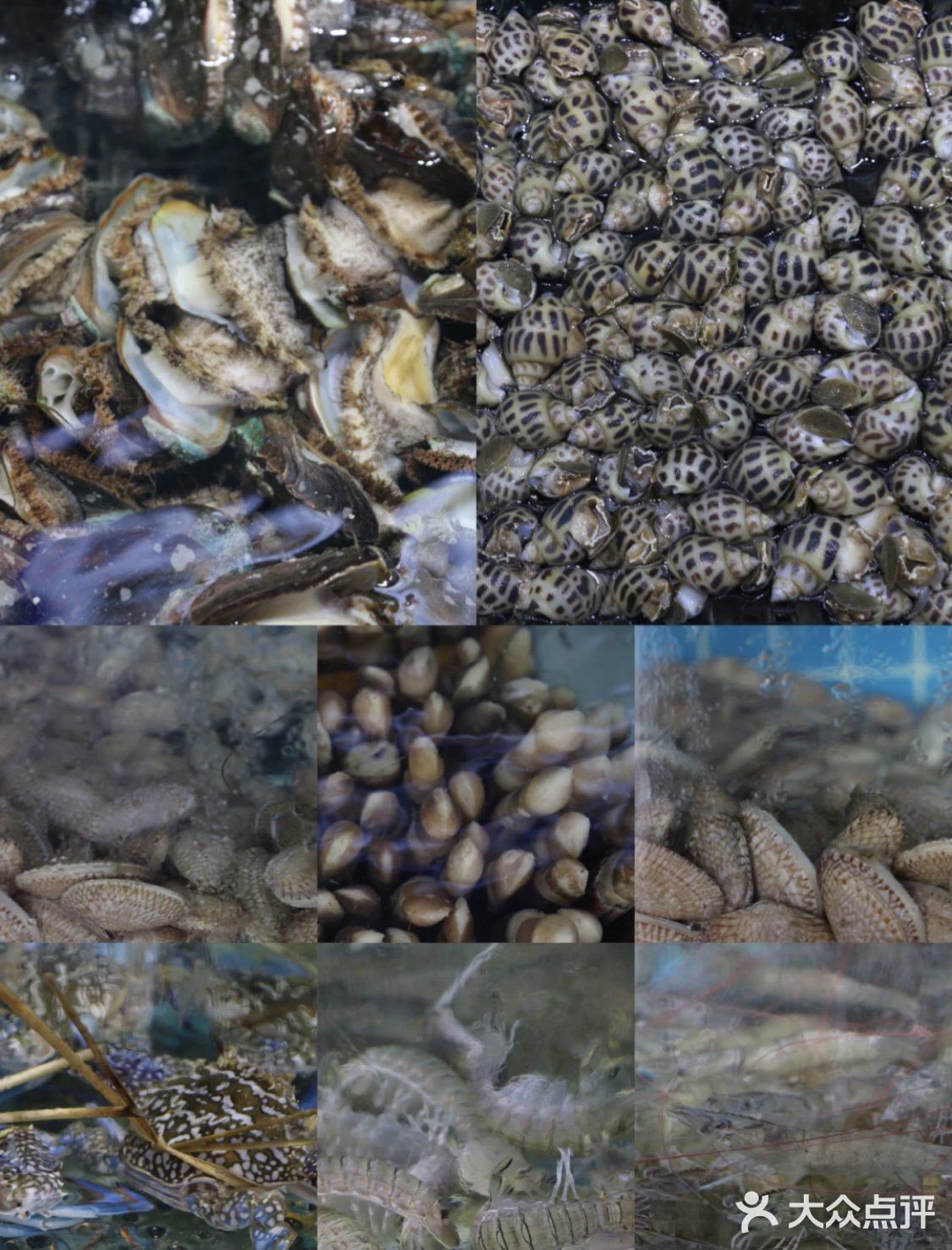 北海旅游｜性价比超高 海鲜超新鲜的海鲜店