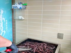 -安牧态(甘旗卡店)