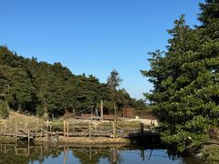 -鼓岭旅游度假区