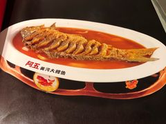 -阿五黄河大鲤鱼(英协路店)
