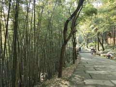 -达蓬山旅游度假区