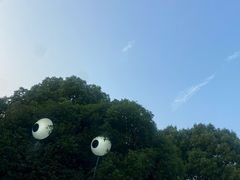 -合肥野生动物园