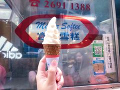 -富豪雪糕车流动点(尖沙咀店)