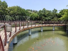 -南湾湖