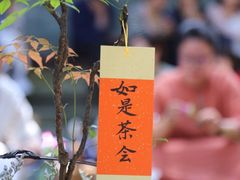 -都江堰普照寺