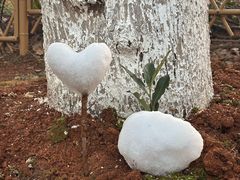 -敬亭山风景名胜区