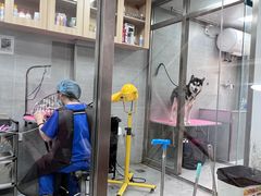 -宠福鑫康馨动物医院·骨科·眼科