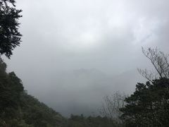 -银瓶嘴森林公园