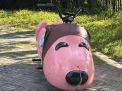 -大理洱海