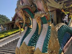 -西双版纳勐泐文化旅游区