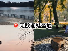 -东莞植物园