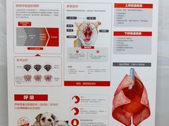 -芭比堂动物医院(广州爱宠下渡路分院)