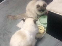 -零纪元VR体验馆·桌游(黄浦店)