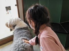 -more than meow吴止猫主题餐厅(承德 中船汇店)