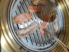 -蒲葵传统炭火烤肉(白石龙店)