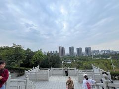 -广东花都湖国家湿地公园