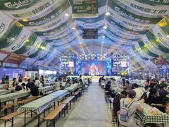 -第35届青岛国际啤酒节