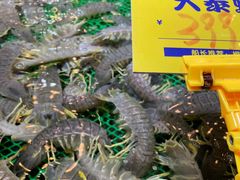 -79号渔船海鲜饭店(华强北店)