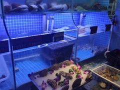 水产区-捞围鲜·港式打边炉(海阳路店)