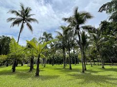 -中国科学院西双版纳热带植物园