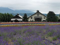 -富田农场