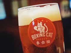 右勾拳德式淡色拉格-Boxing Cat Brewery拳击猫精酿啤酒馆(永福店)