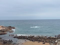 -广东惠东海龟国家级自然保护区