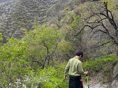 -阳台山自然风景区