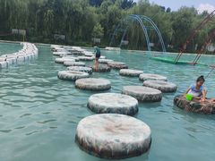 -东方巨龟苑景区