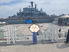 -泰达航母主题公园