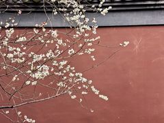 -钱王祠
