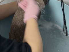 -瑞鹏宠物医院·眼科·皮肤·中兽医(大悦城分院)