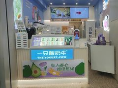 -一只酸奶牛(春熙路店)