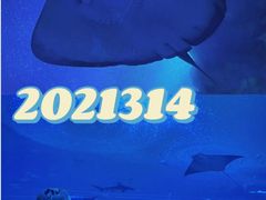 -珠海长隆海洋王国