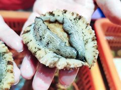 -巽寮印象美食部落餐厅·海鲜·地方特色菜(惠州体验店)