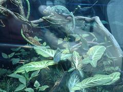 -上海大自然野生昆虫馆