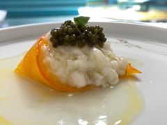 鱼子酱鸡淖-松云泽