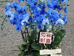 -F.Story 花和故事(新天地店)