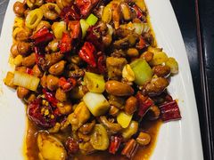 -陈麻婆豆腐总店
