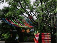 -广州长隆飞鸟乐园